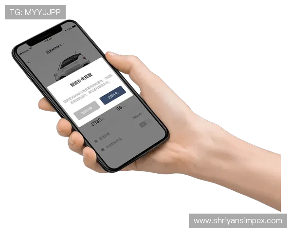 必赢集团网址官方平台地址，便捷访问方式与用户常见问题解答